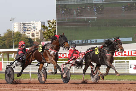 Actualités Hippiques